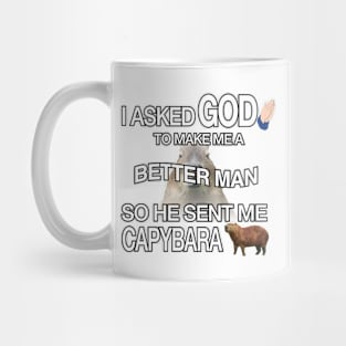 Do Sent Me Capybara - Funny Capybaras Mug